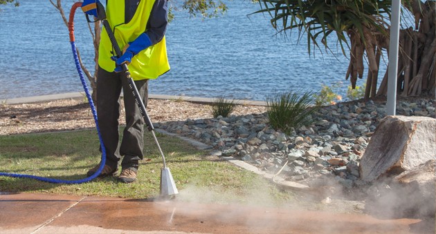  Weed Control using Steam